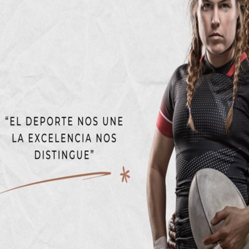 Gestión Deportiva
